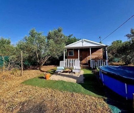 נים Un Chalet Dans Les Oliviers 3 Nuits Mini מראה חיצוני תמונה