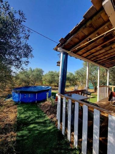 נים Un Chalet Dans Les Oliviers 3 Nuits Mini מראה חיצוני תמונה